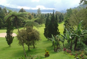  Bali Handara