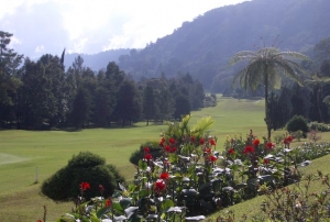  Bali Handara